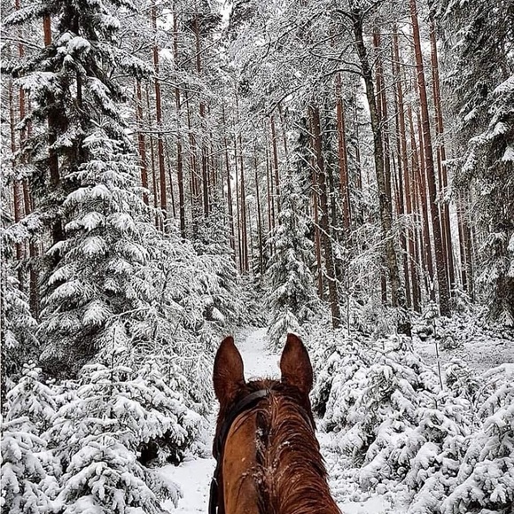 Meet your Posher, Kelly - Picture 3 of 5